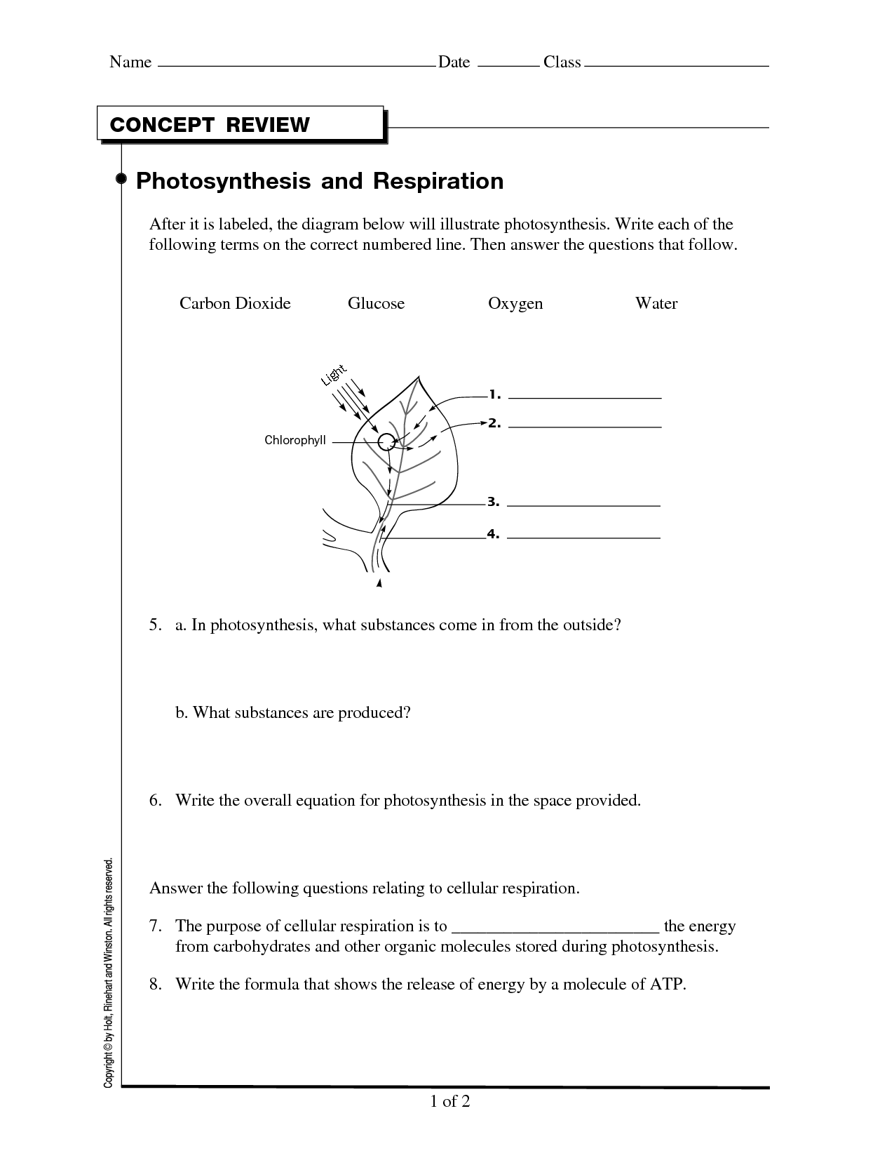 15 Aerobic Respiration Worksheet Answer Key Worksheeto