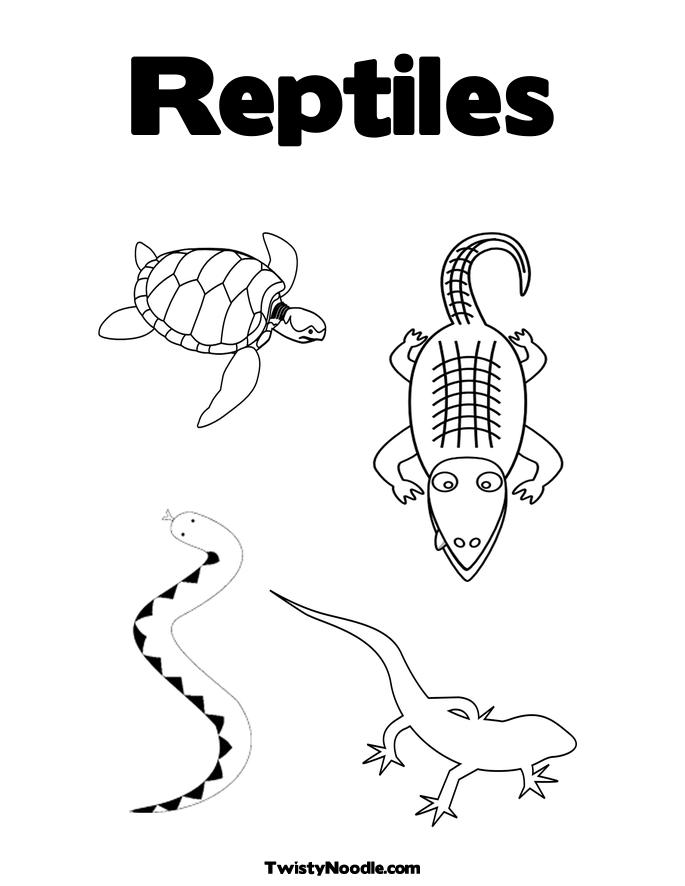 Reptile Coloring Pages