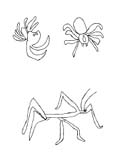 Walking Stick Insect Coloring Page