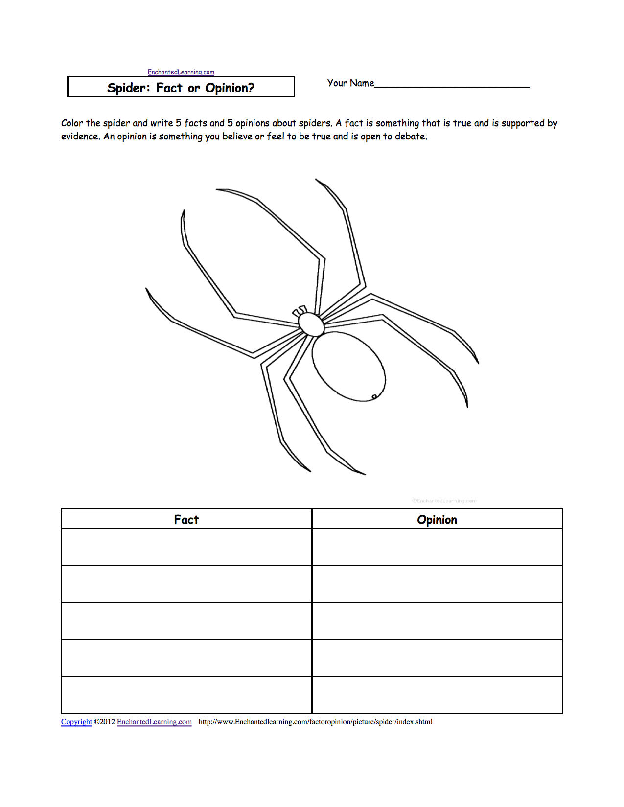 Worksheet Spider Facts