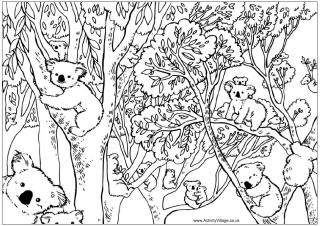 Australian Animals Colouring Page