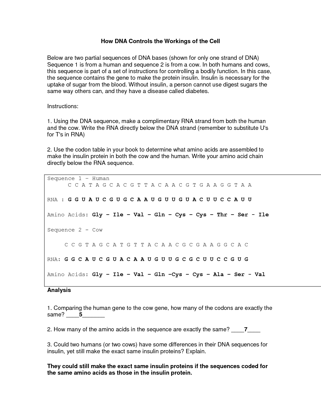 DNA Structure Worksheet High School