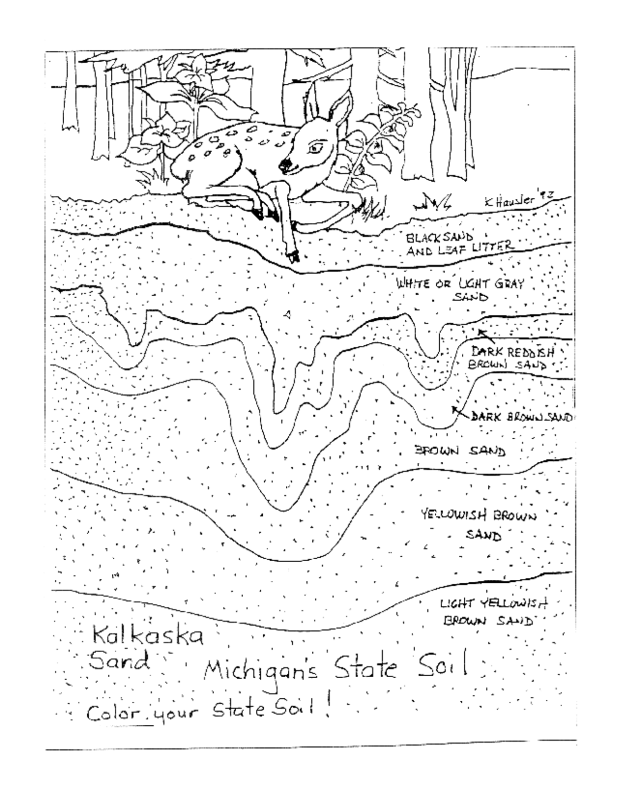 14 Soil Profile Worksheet Worksheeto