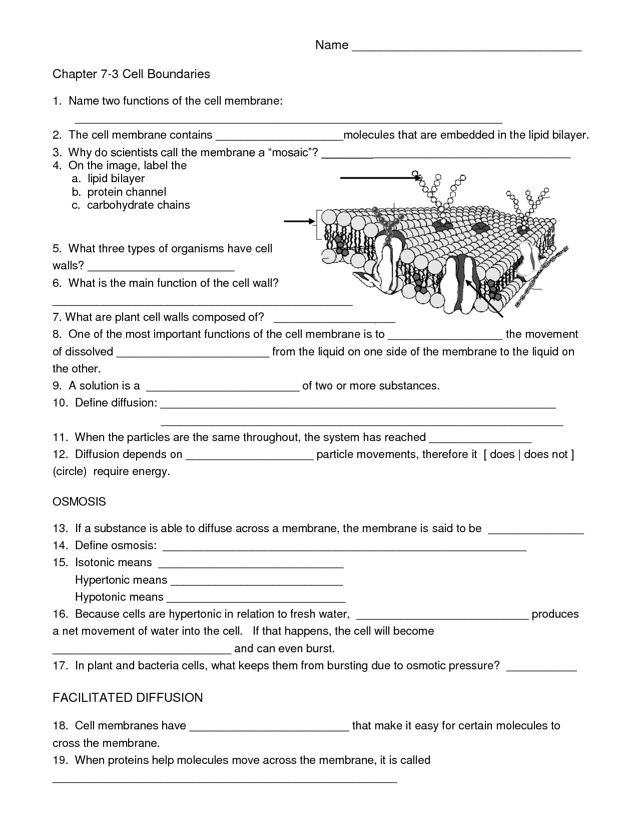 18-biology-worksheets-with-questions-worksheeto
