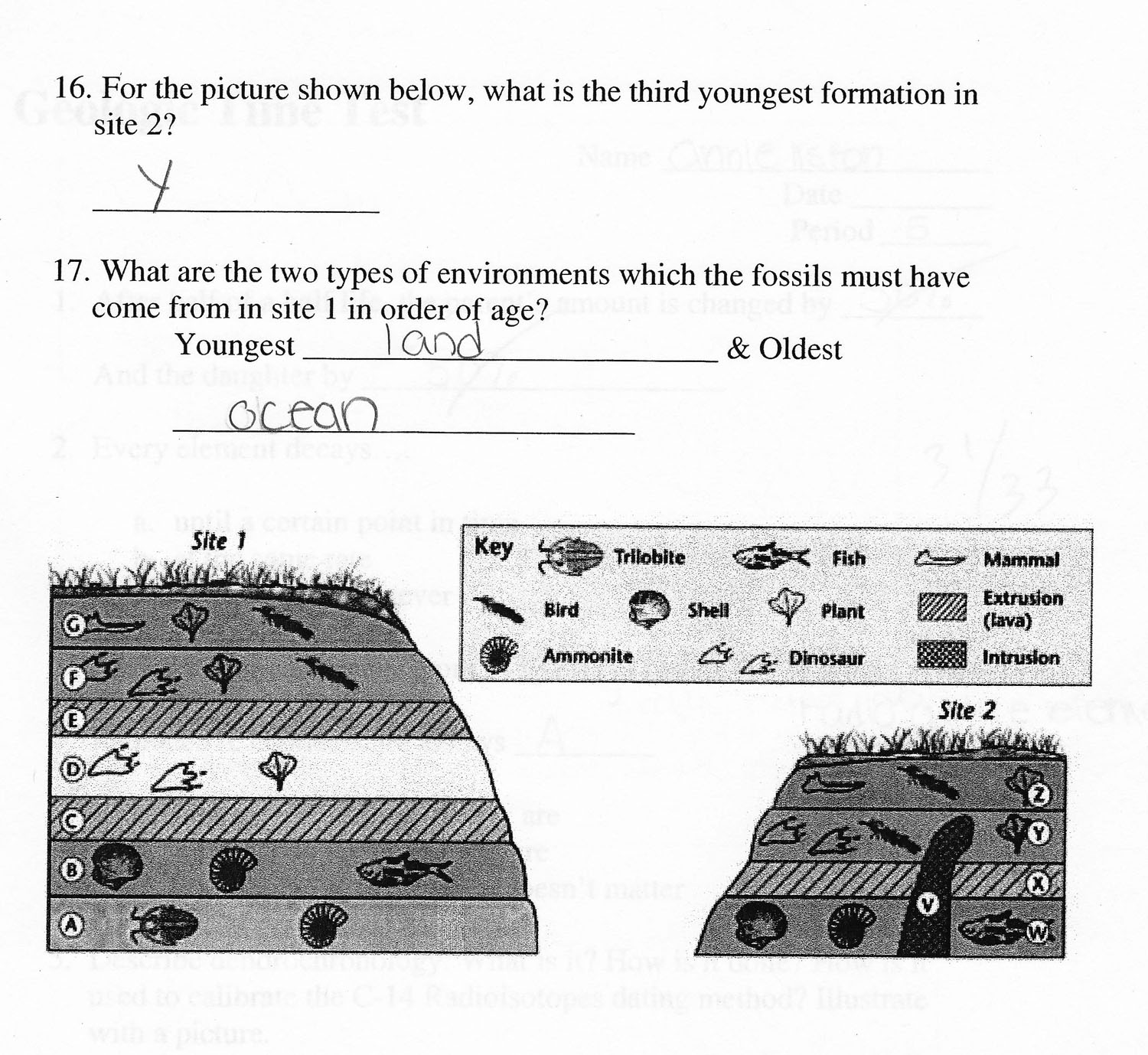 15 Section 1 Reinforcement Fossils Worksheet Worksheeto