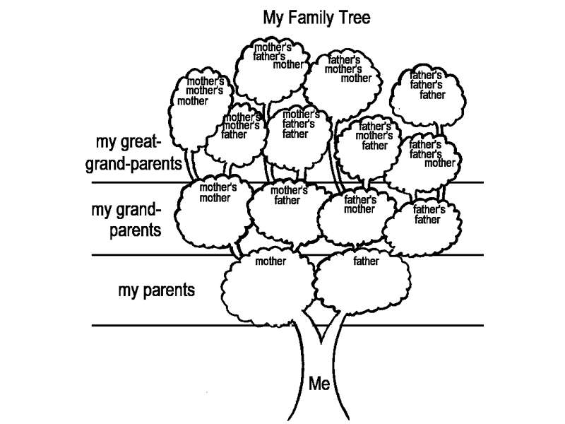 Family Tree Activity for Kids