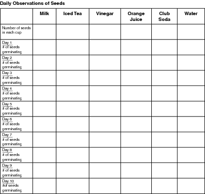 Science Experiment Plant Growth Observation Chart