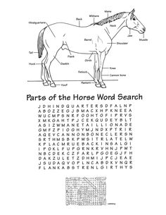 Horse Word Search Printable