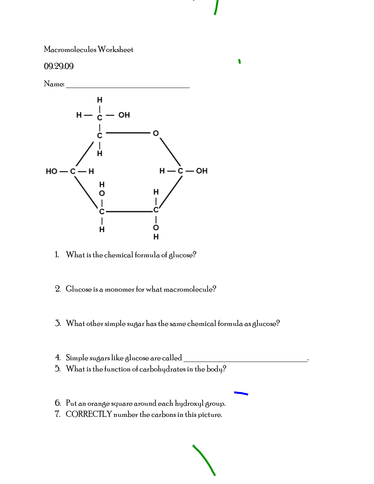 14 Macromolecules Review Worksheet Answer Key Worksheeto