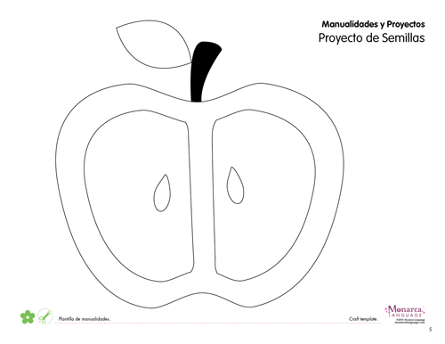 Seeds as Fruits Worksheets