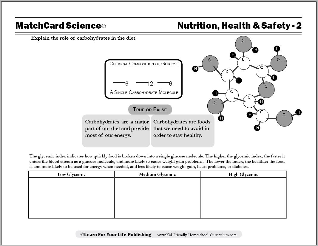 17 Carbohydrates Worksheet Student Worksheeto