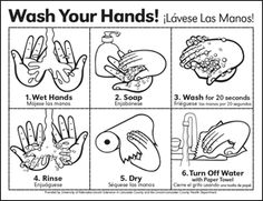 Steps to Wash Your Hands Spanish and English