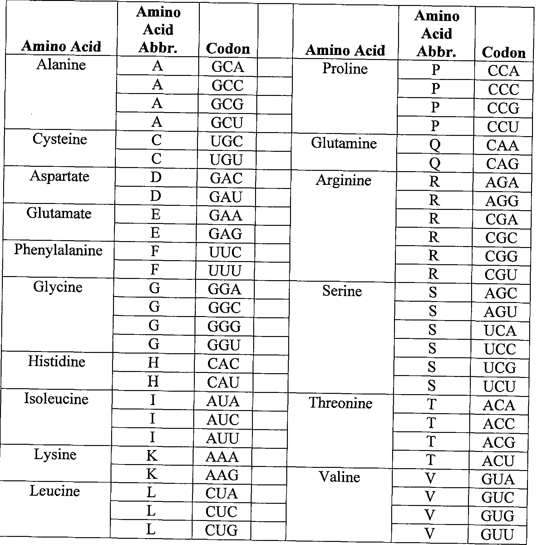 9 Amino Acid Codon Chart Worksheets Worksheeto