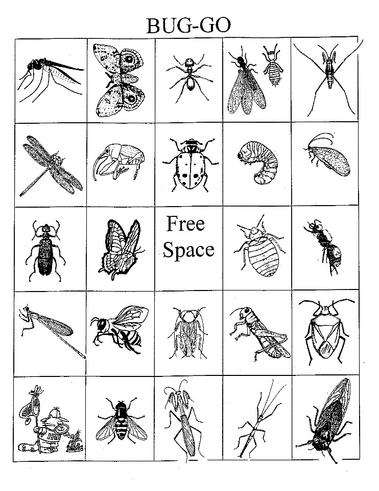 Bug Bingo Printable Cards