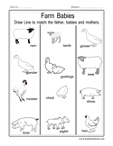 Animal Lessons Worksheets Printable