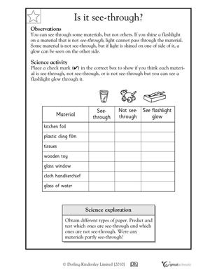 First Grade Science Worksheets