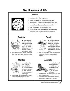 Five Kingdoms Worksheet