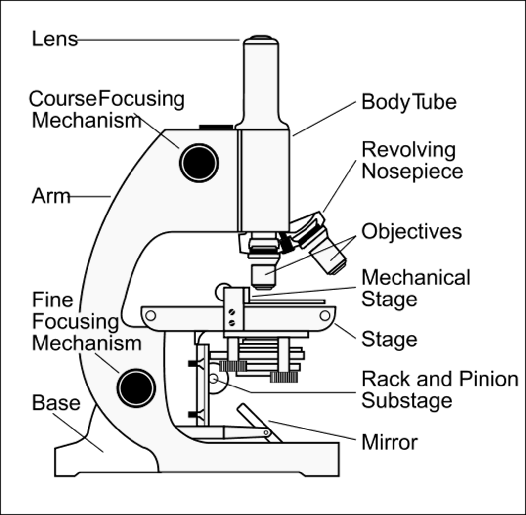 Labeled Microscope Parts and Functions