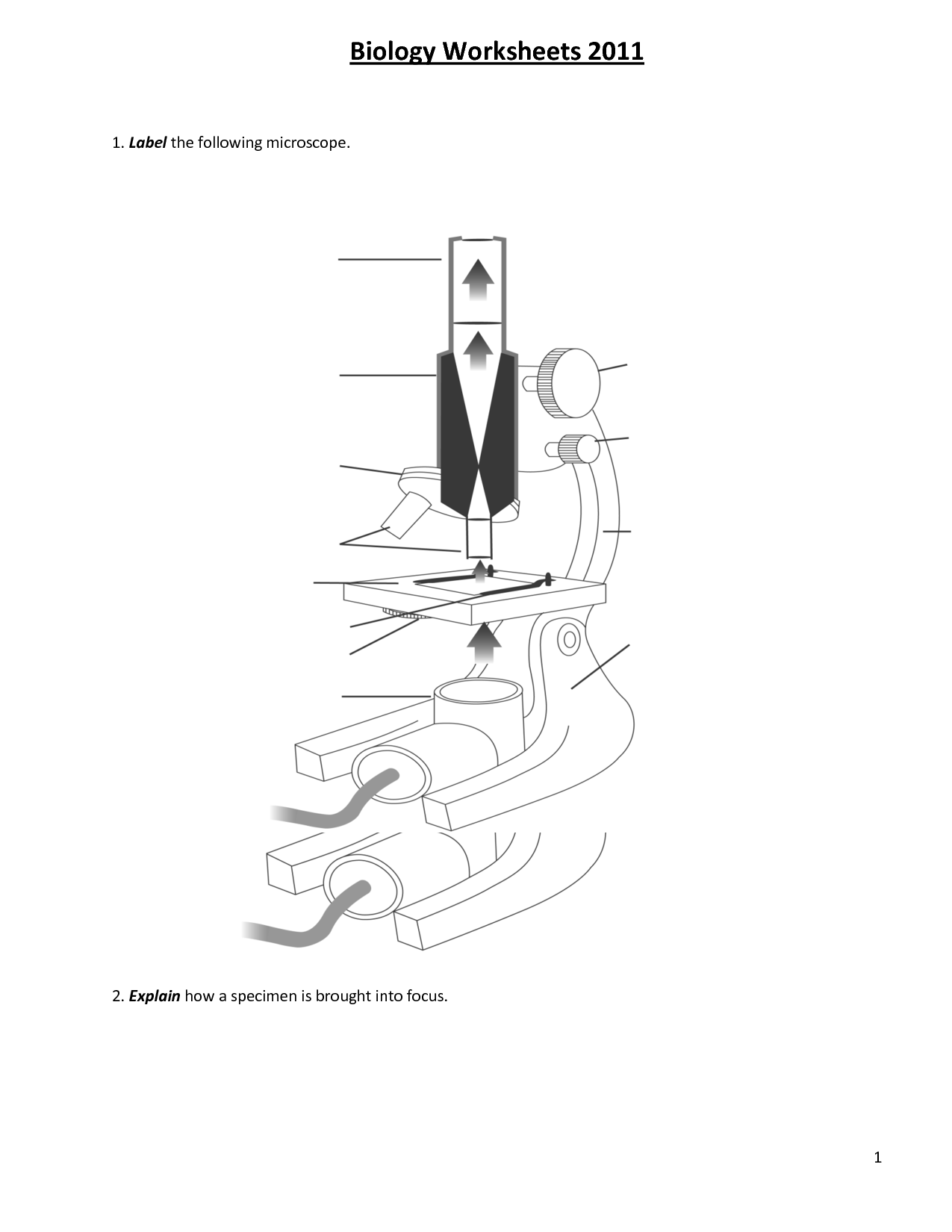 Microscope for Biology Worksheet Answers