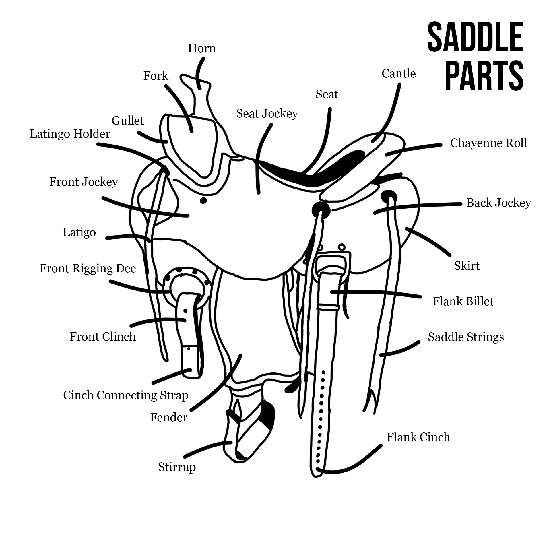 Printable Parts Of The Saddle Worksheet