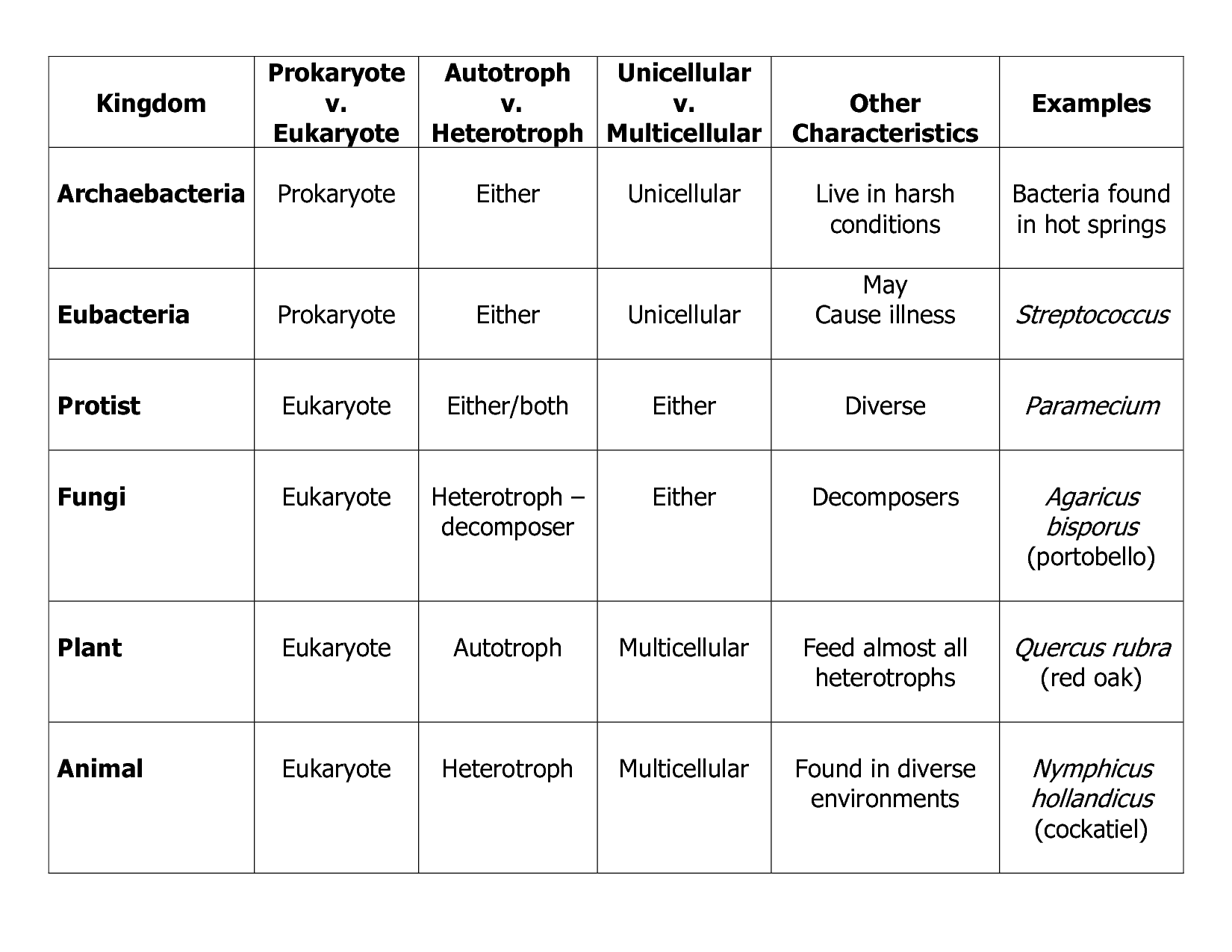 13 The Kingdoms Of Life Worksheet Worksheeto