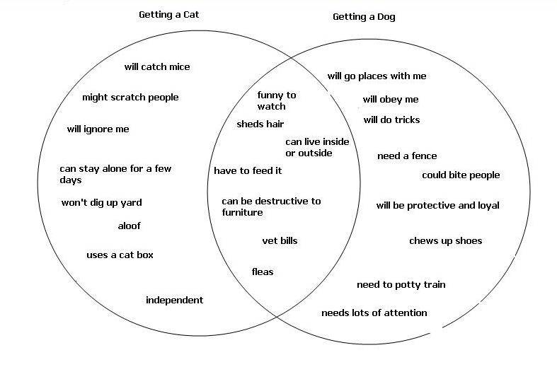 Compare and Contrast Venn Diagram