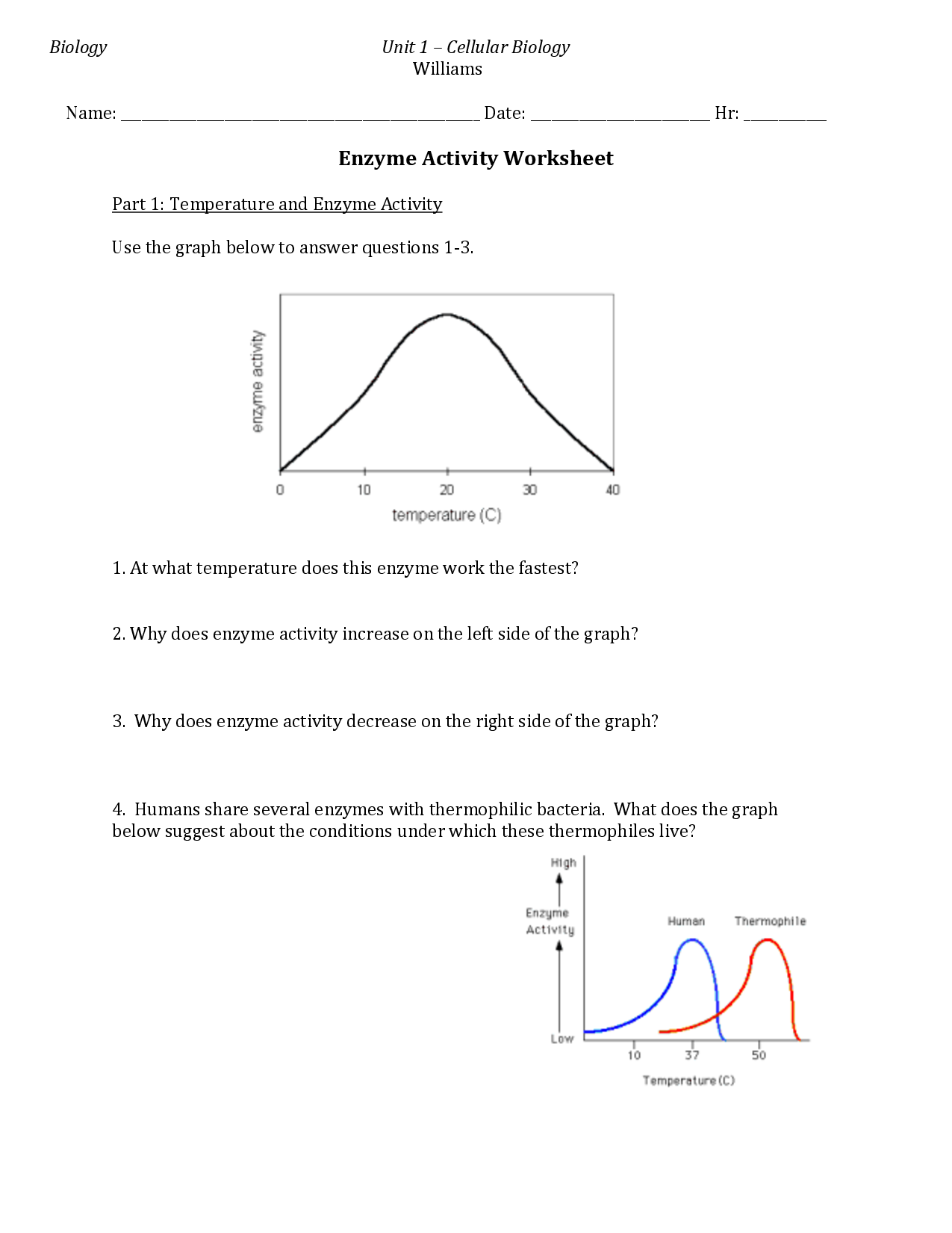 14 How Enzymes Work Worksheet Worksheeto