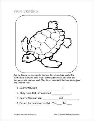 15 Best Images of 5 W Questions Worksheets - Sea Turtle Reading ...