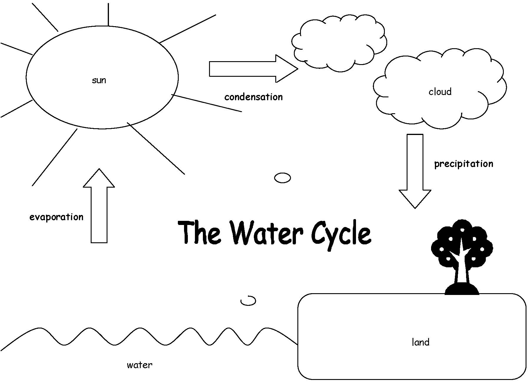 Water Cycle Diagram Worksheet