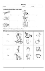 1st Grade Habitat Worksheets