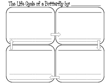 2nd Grade Butterfly Life Cycle