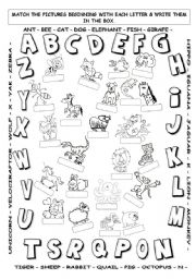 Alphabet Hunt Worksheets