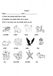 Animal Habitats First Grade Worksheets