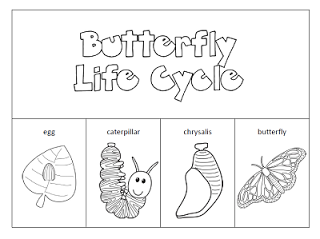 Butterfly Life Cycle Printable Worksheet