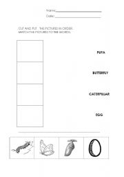 Butterfly Life Cycle Printable Worksheet