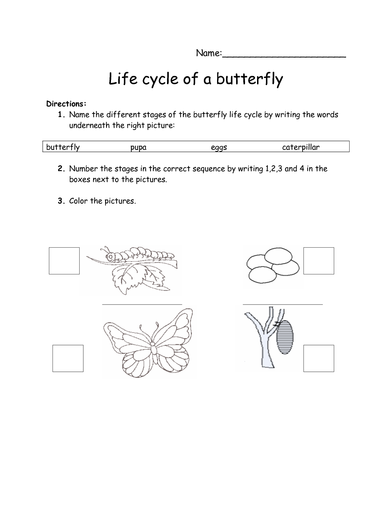 Butterfly Life Cycle Worksheet