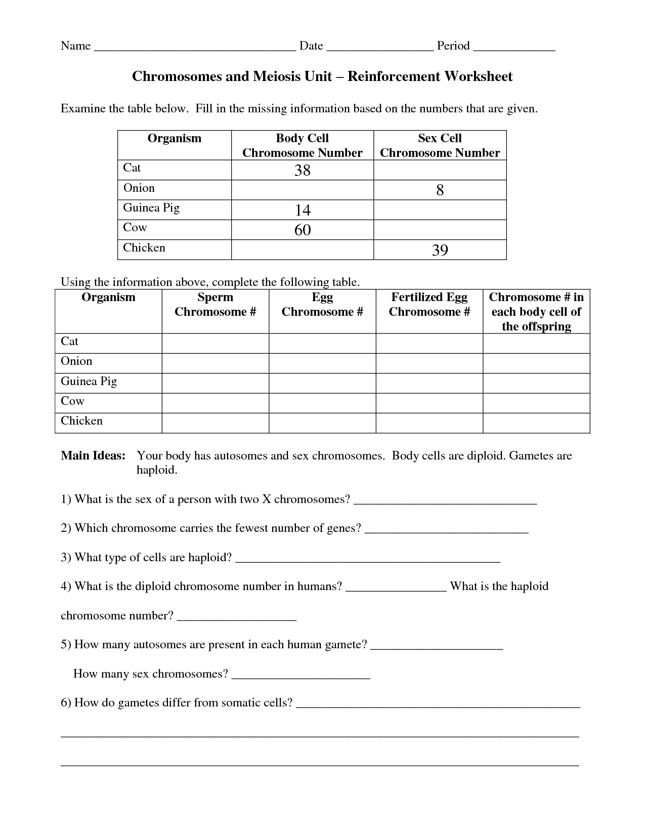 13 Chromosomes And Genes Worksheet Worksheeto