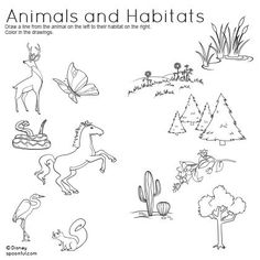 Free Animal Habitat Worksheets