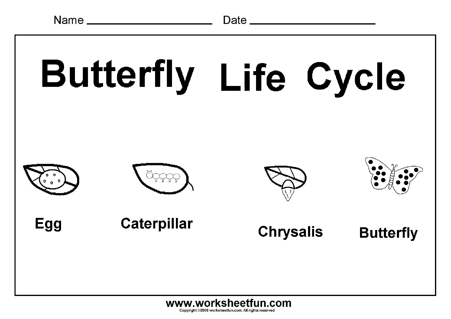 Free Printable Butterfly Life Cycle Worksheet