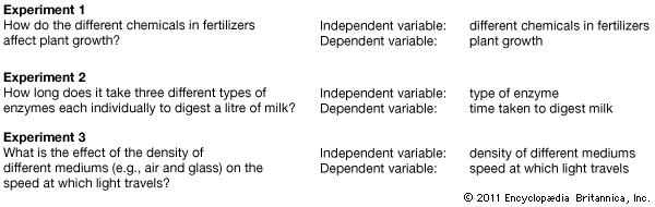 Independent and Dependent Variables Examples