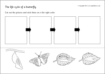 Life Cycle of a Butterfly Worksheet Cut Paste