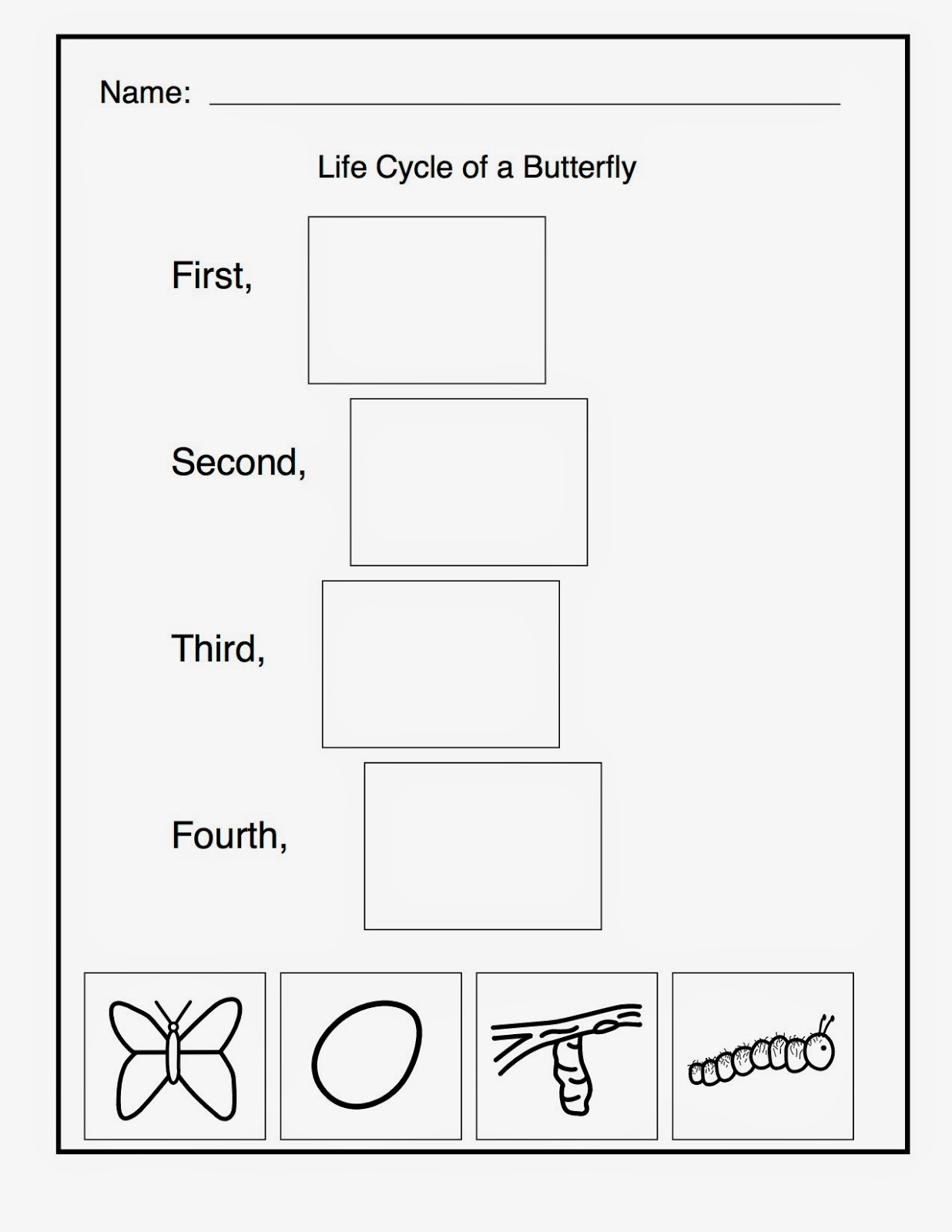 Life Cycle of a Butterfly Worksheet Cut Paste