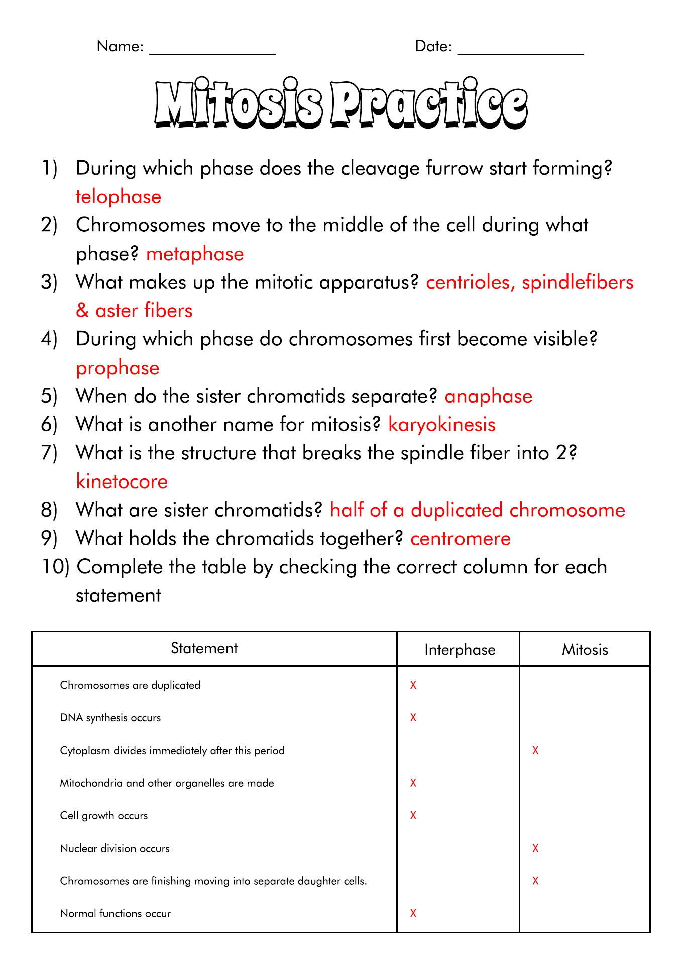 15 Onion Cell Mitosis Worksheet Answers Free PDF At Worksheeto