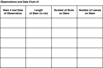 Science Fair Project Plant Growth Chart