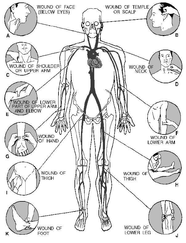 Body Pressure Points