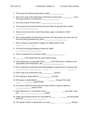 DNA Replication Worksheet Answers