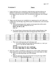 Evolution Worksheet Answer Key