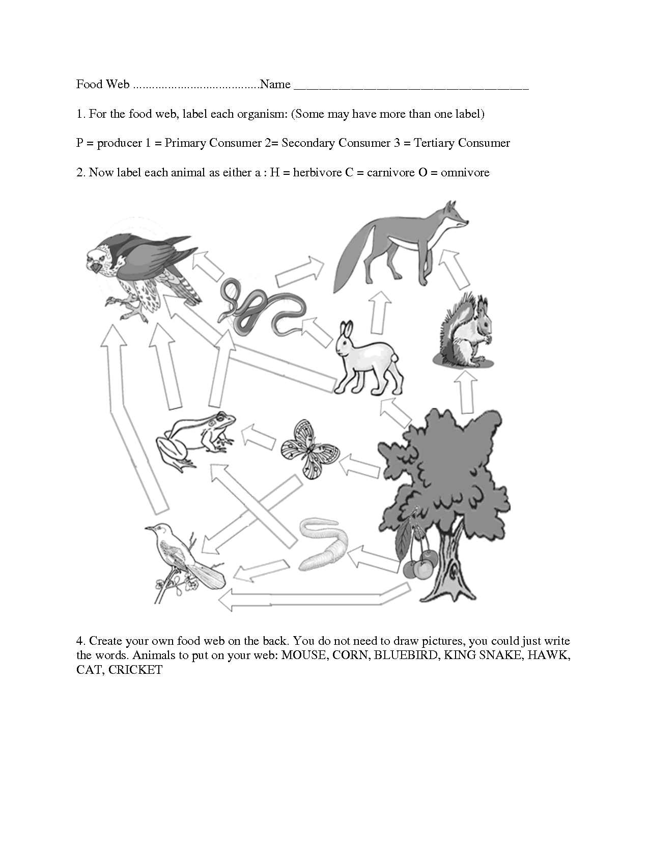 Food Web Worksheets High School