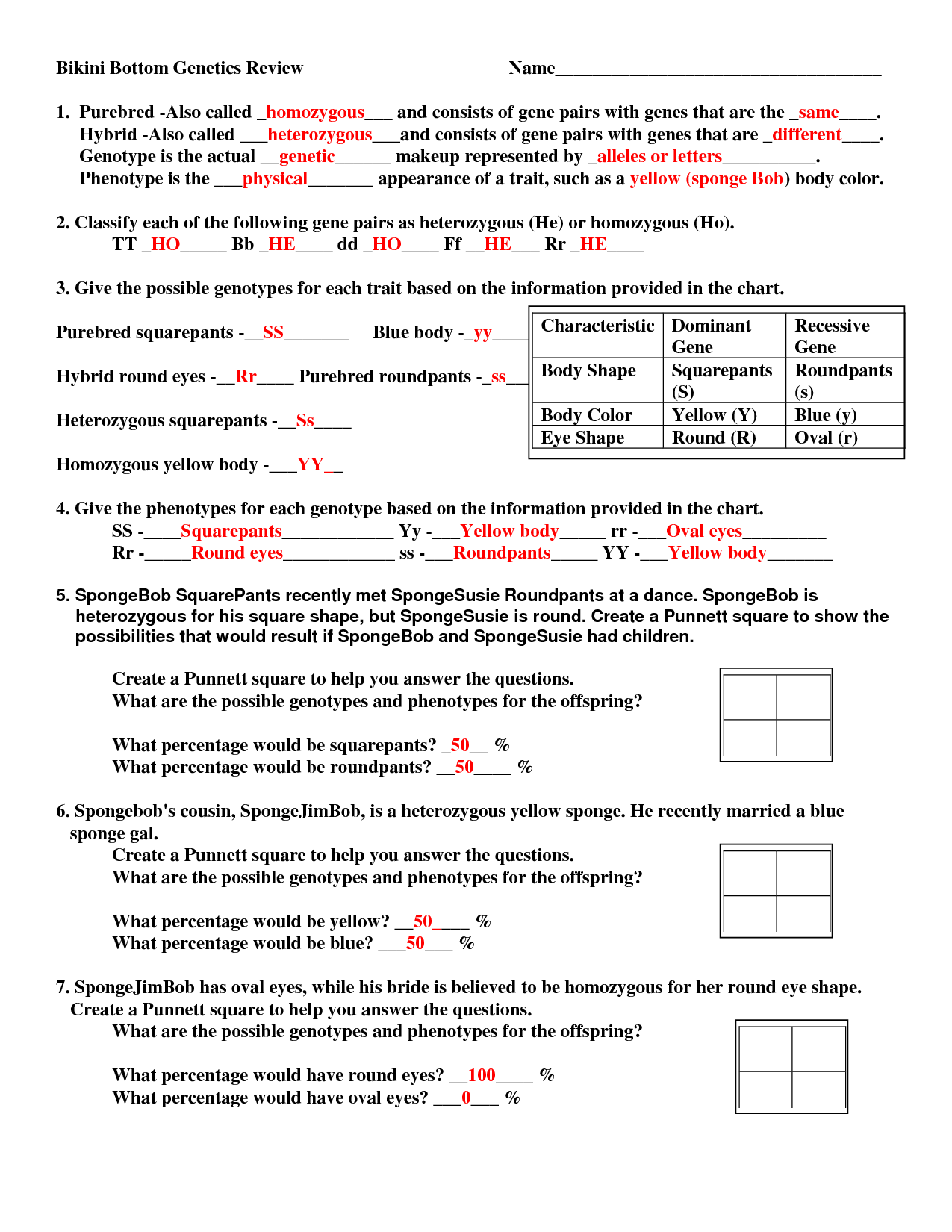 15 Genetic Punnett Squares Worksheets Worksheeto