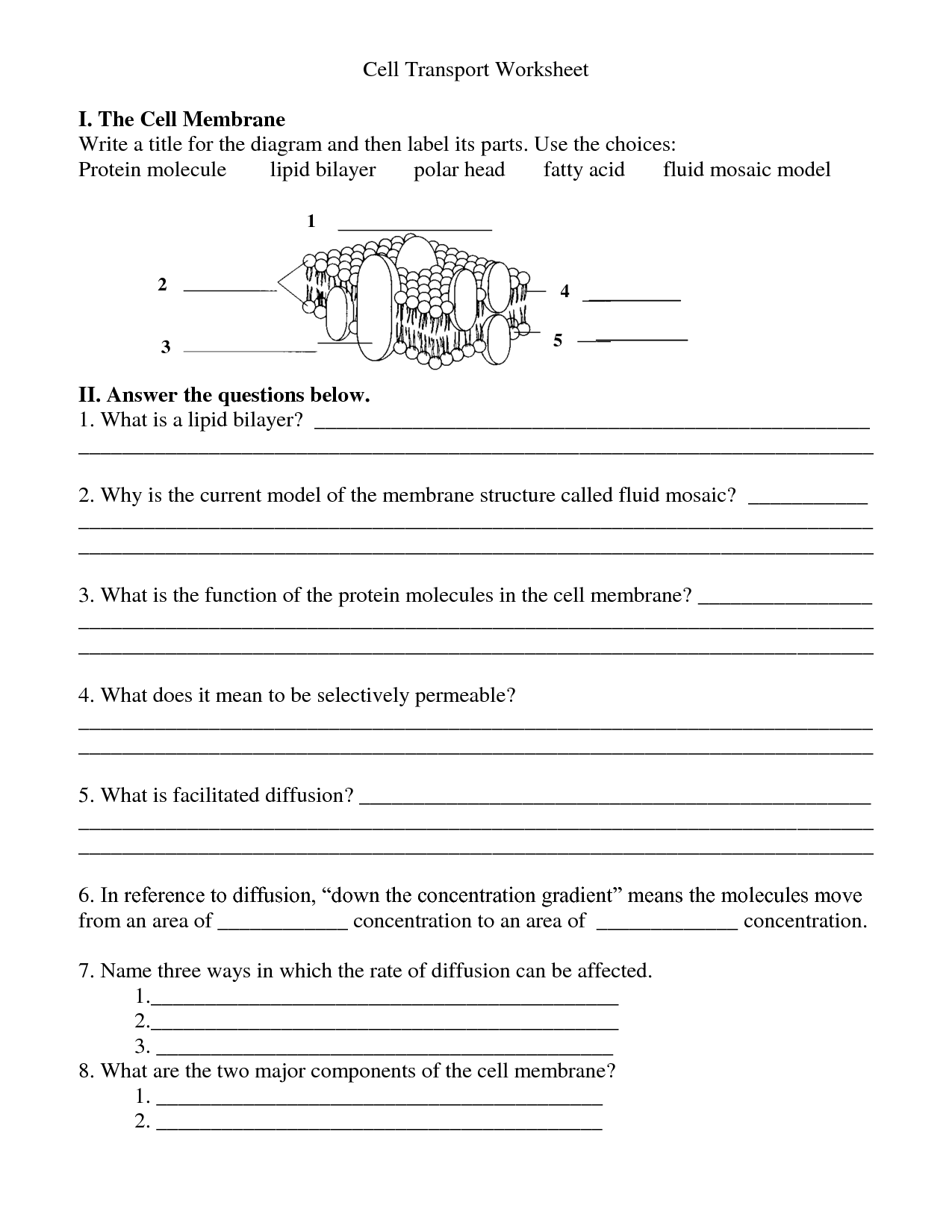 12 Cell Membrane Labeling Worksheet Worksheeto